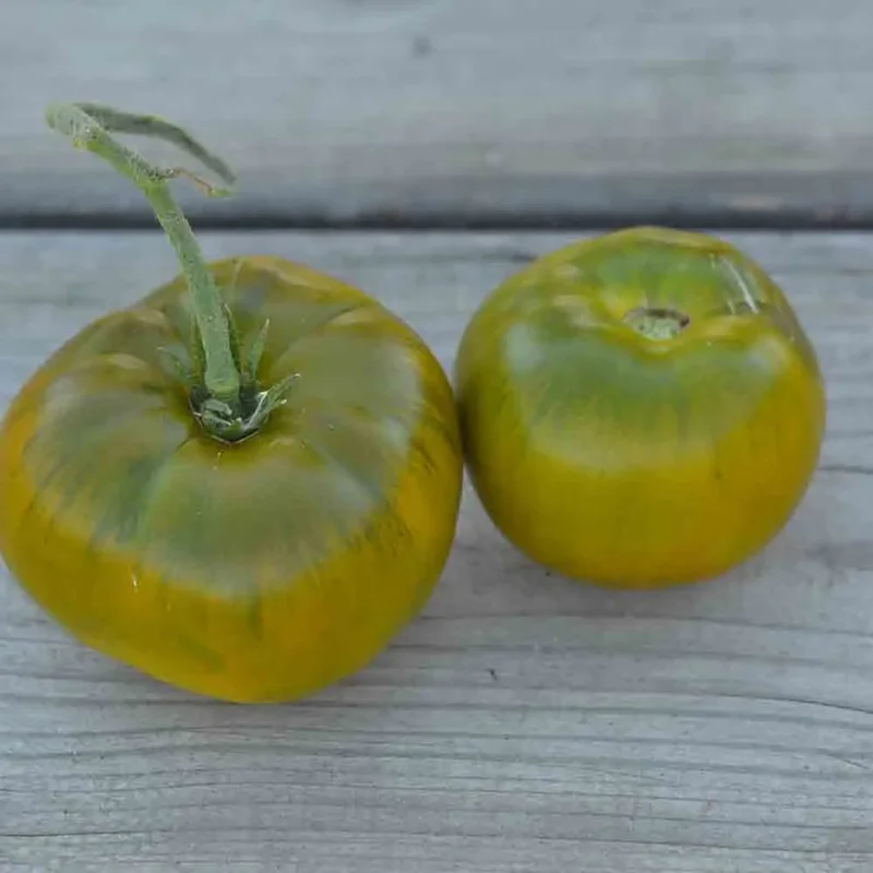 Tomate Emerald Evergreen
