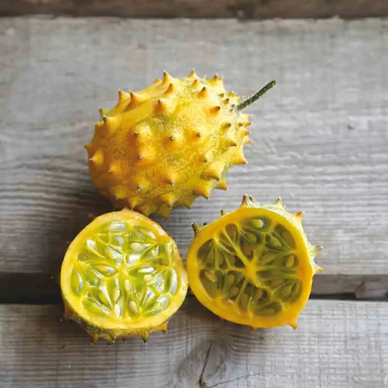 Concombre Cornu D'afrique 'kiwano'