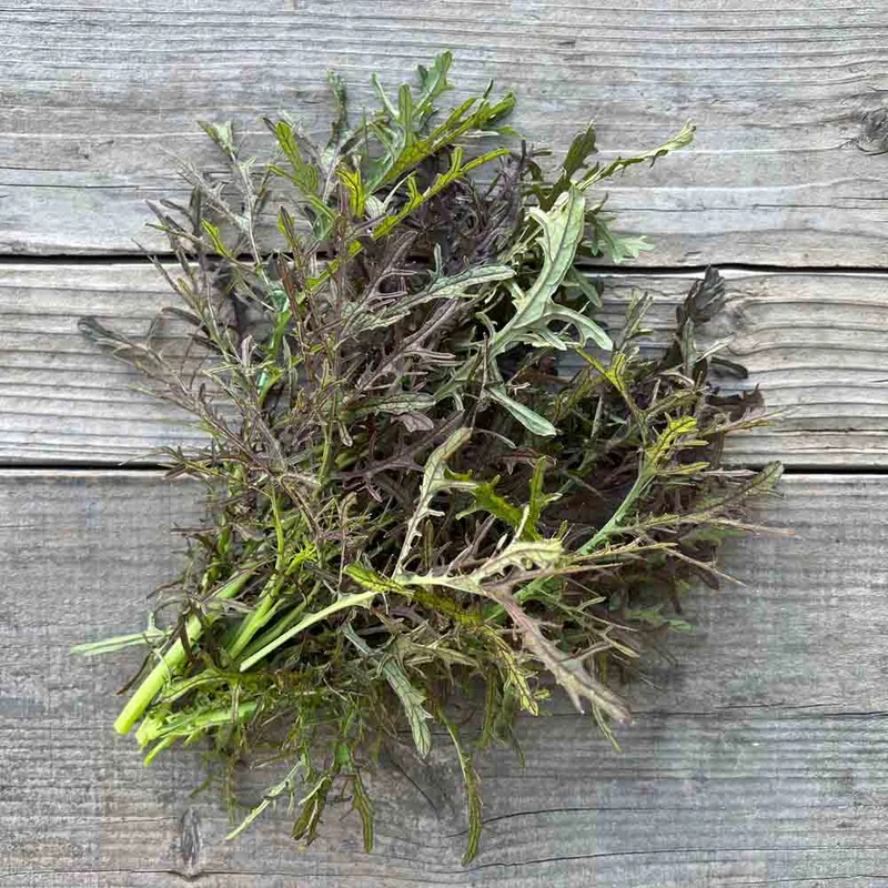 Moutarde Purple Frills