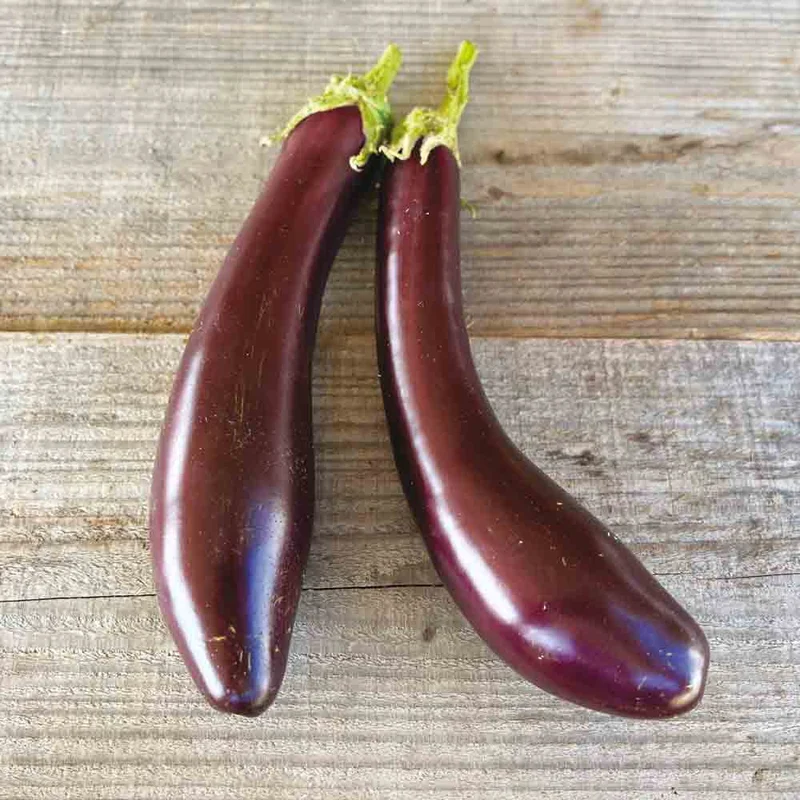 Aubergine Violetta Lunga 3