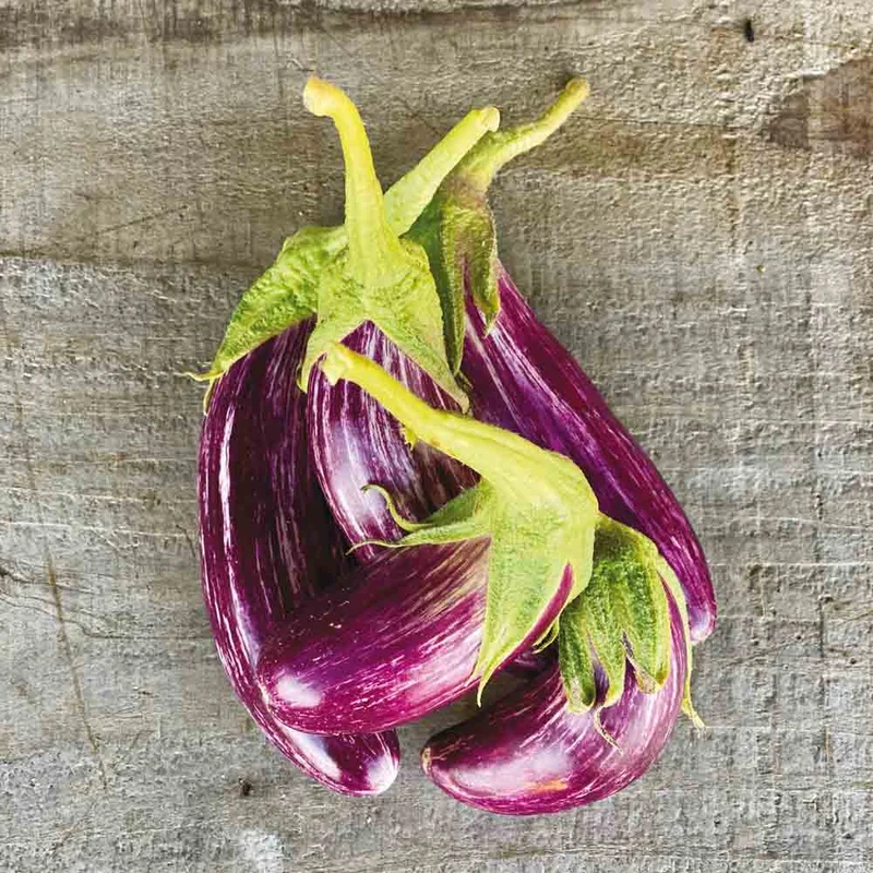 Aubergine Tsakoniki