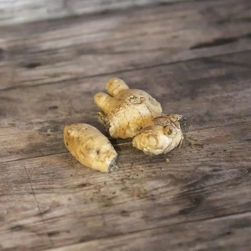 Gingembre - (Rhizome)