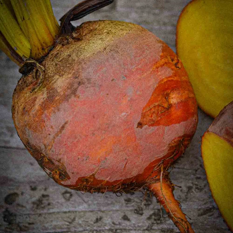 Betterave Burpees Golden