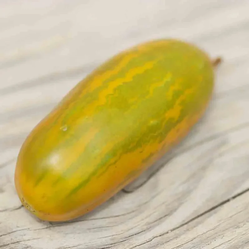 Tomate Green Sausage