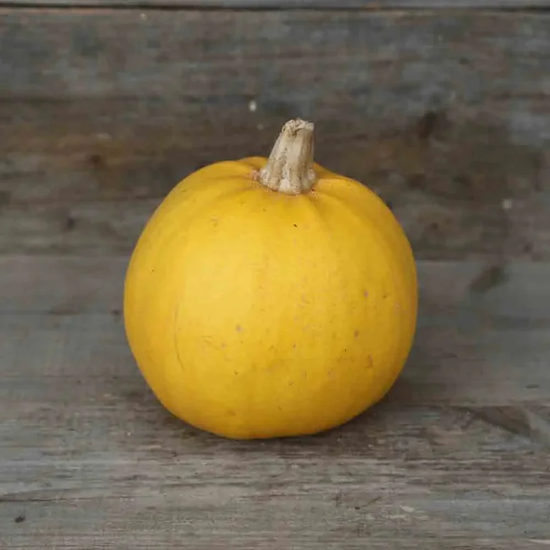 Courge Melonnette Jaspee De Vendee