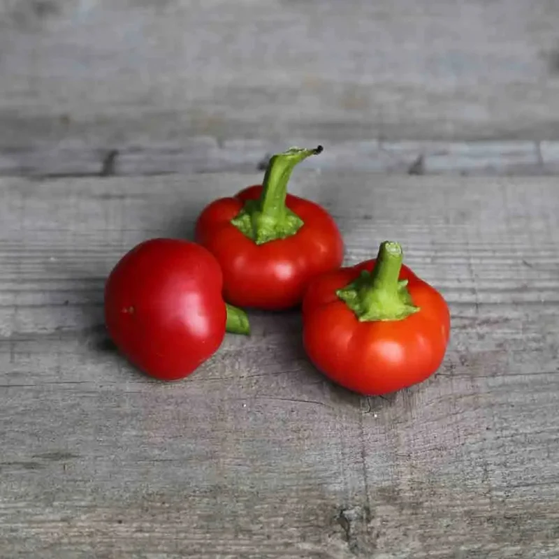 Piment Red Cherry Small