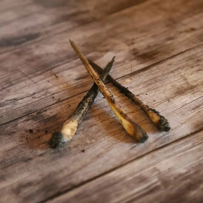 Lemongrass Ou Citronnelle  (Rhizome)