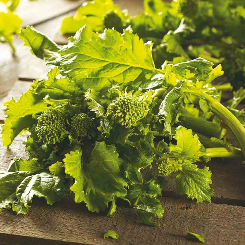 Chou Brocoli A Jets Sessantina