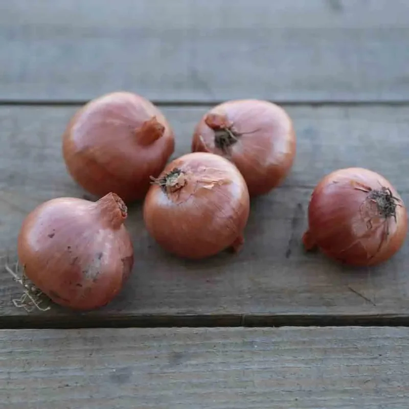 Oignon Patate