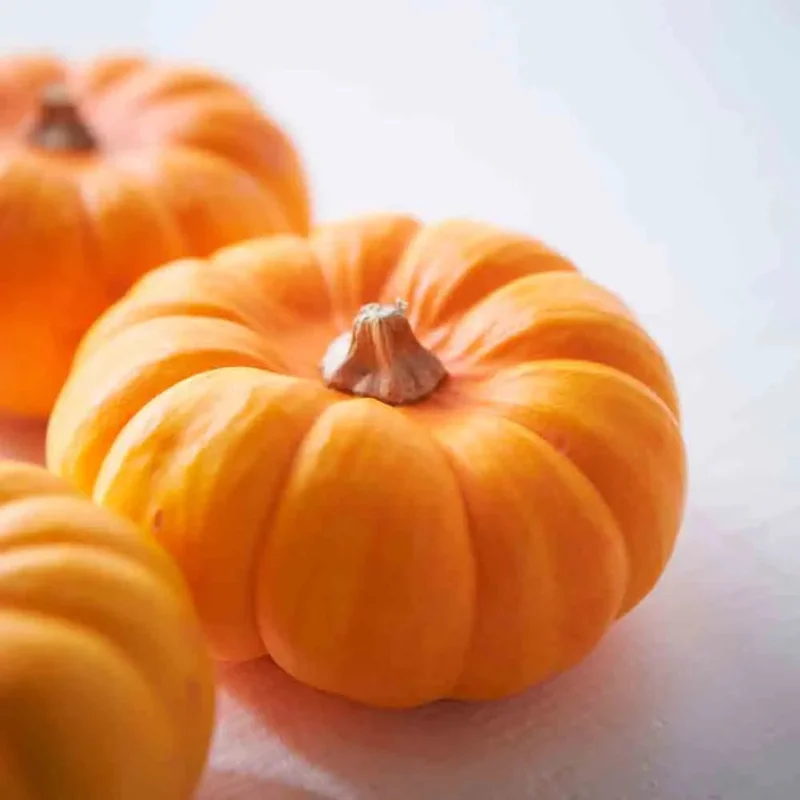 Courge Musquee Carat