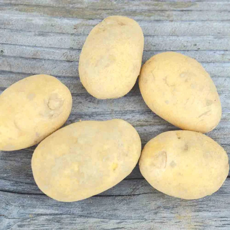 Pomme De Terre Charlotte