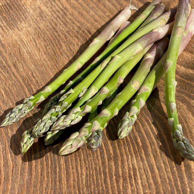 Asperge Verte (Voltaire)