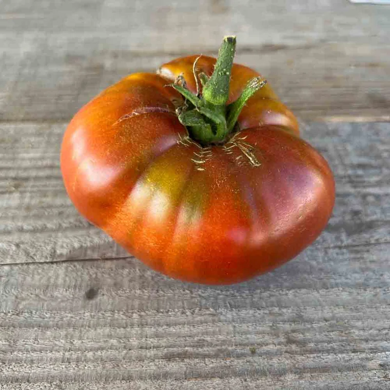 Tomate Black From Tula