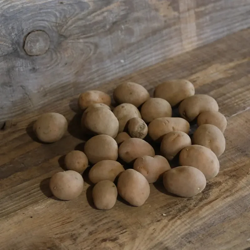 Pomme De Terre Stemster