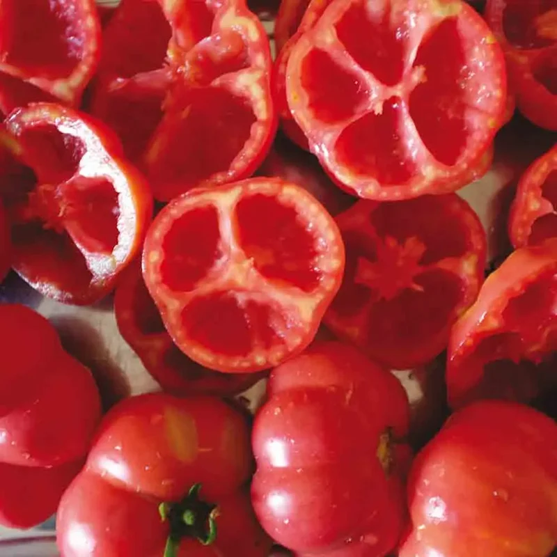 Poivron Mini Bell Red