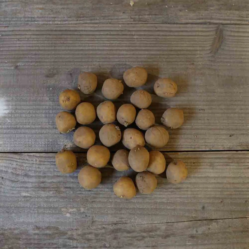 Pomme De Terre Griotte®  (Variété Jacky)