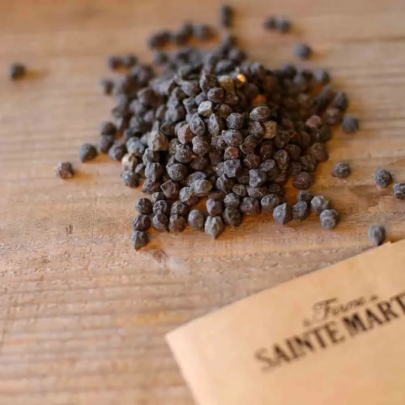 Pois Chiche A Grain Noir De Puglia