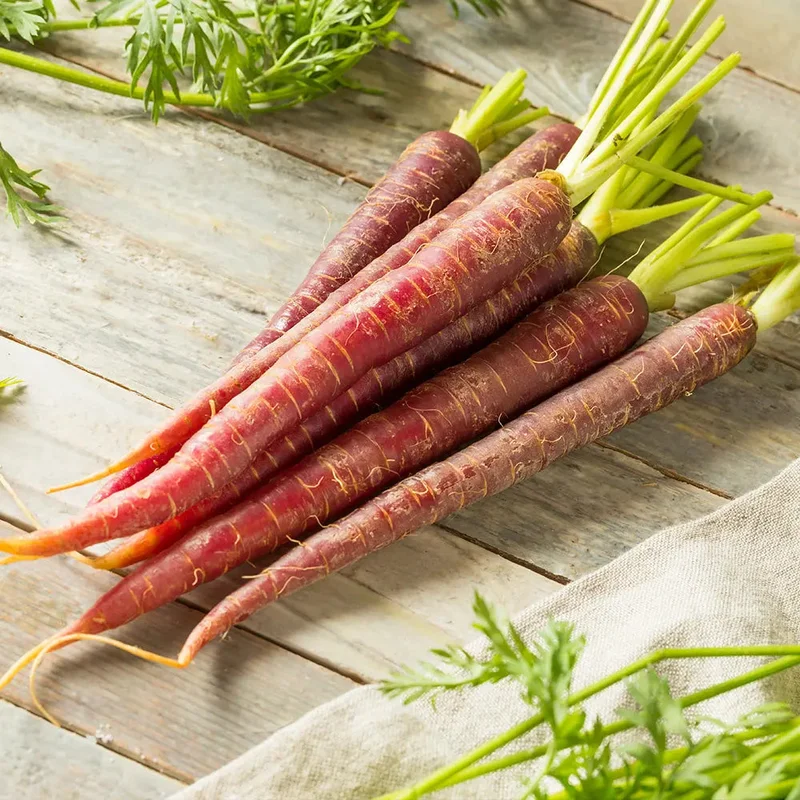 Carotte Cosmic Purple