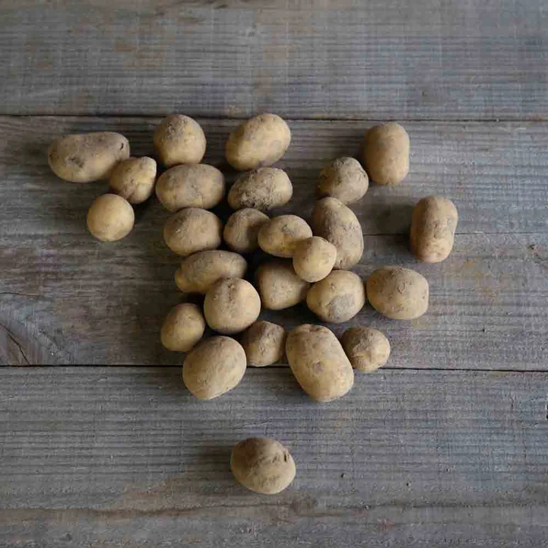 Pomme De Terre Etincelle