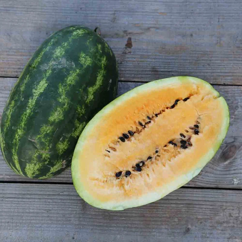 Pastèque Mountain Yellow