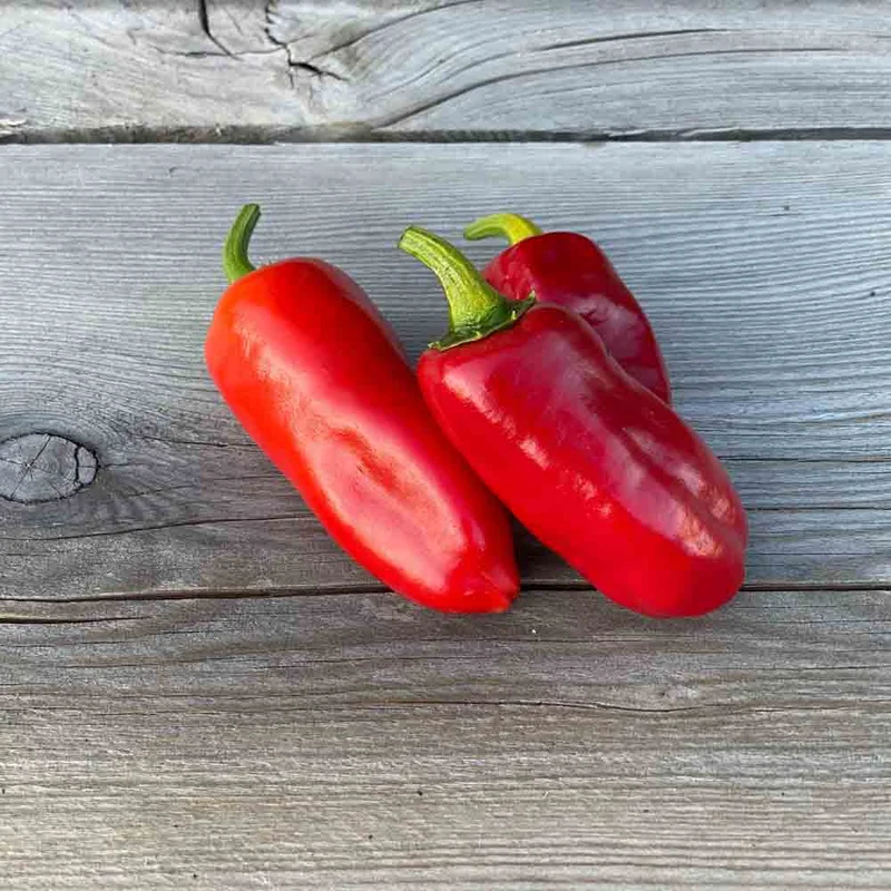 Piment De La Bresse