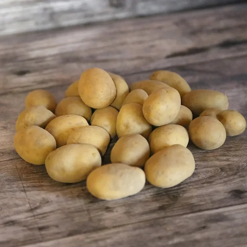 Pomme De Terre El Mundo