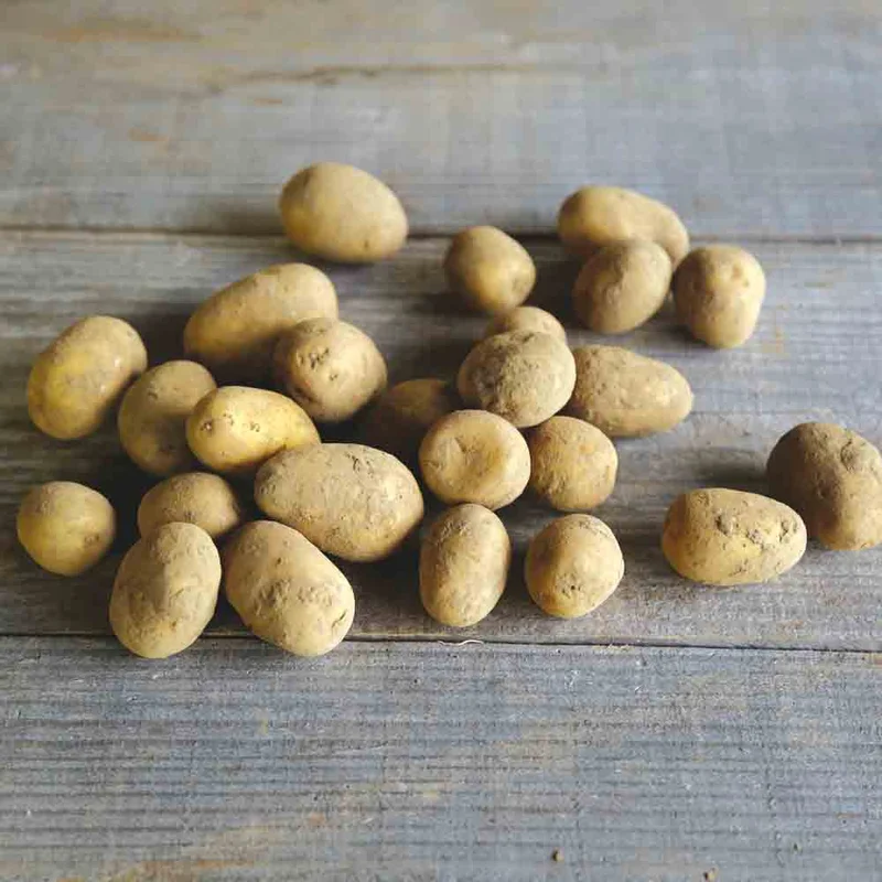 Pomme De Terre Penni - Grenaille Primeur