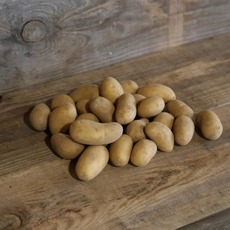 Pomme De Terre Château