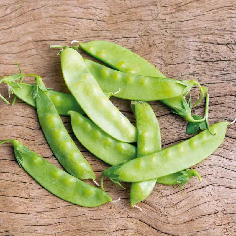 Pois Nain Norli Grain Rond Mangetout 80 G