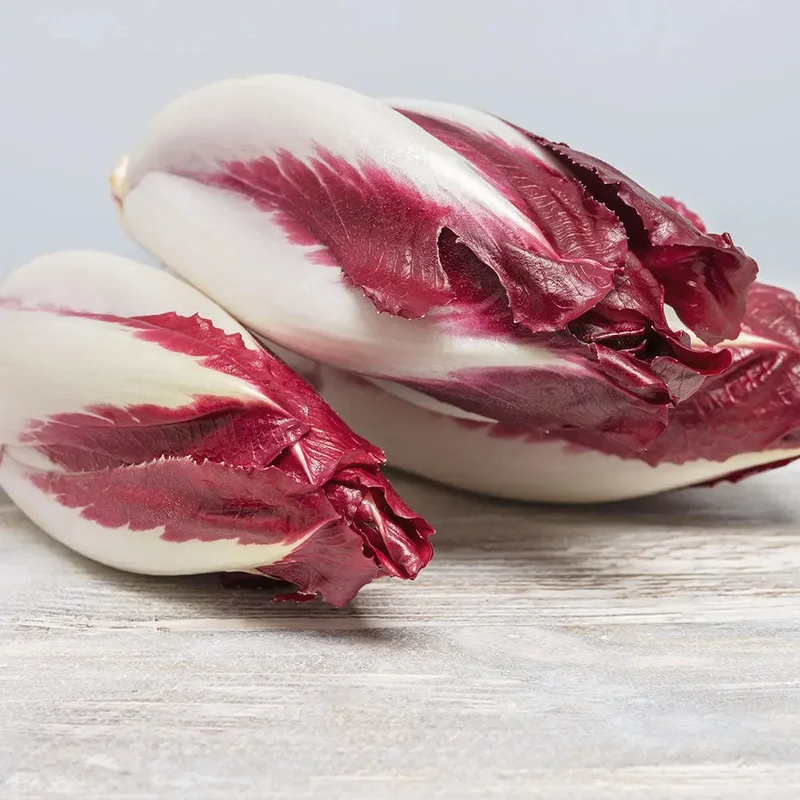 Endive Rouge (Racines)