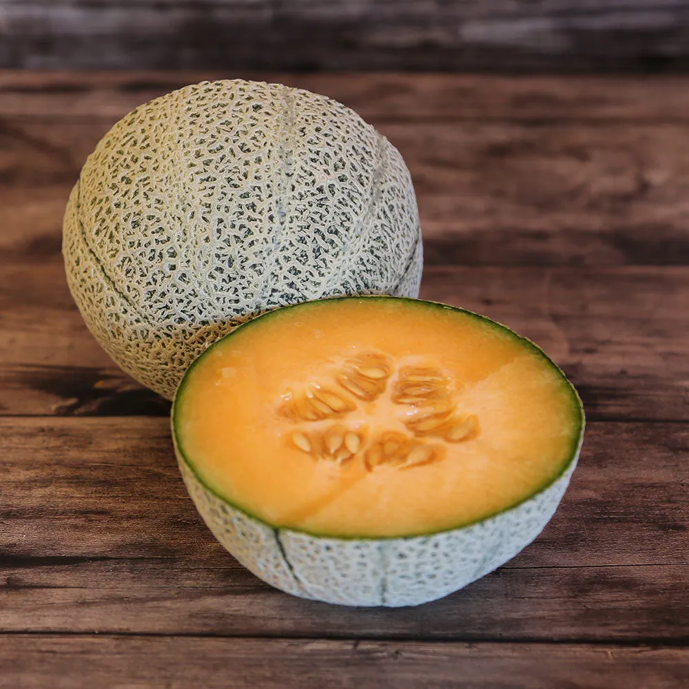 Melon Chilton