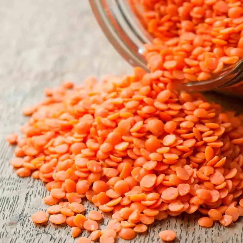 Lentille Corail Rosana