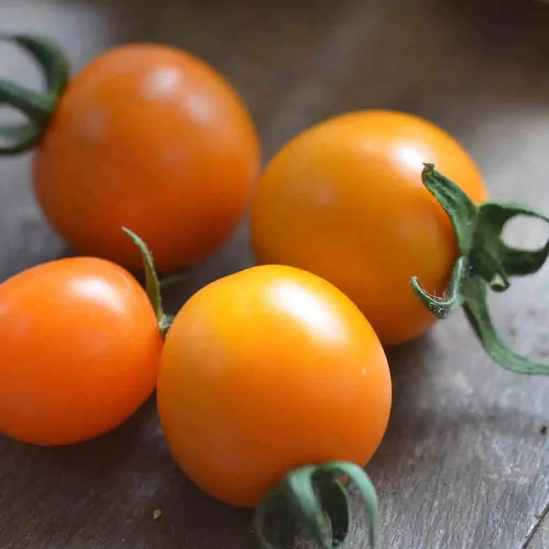 Tomate Mini Orange