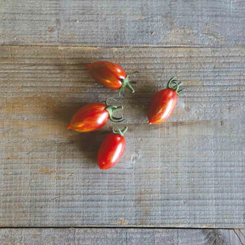 Tomate Artisan Pink Tiger