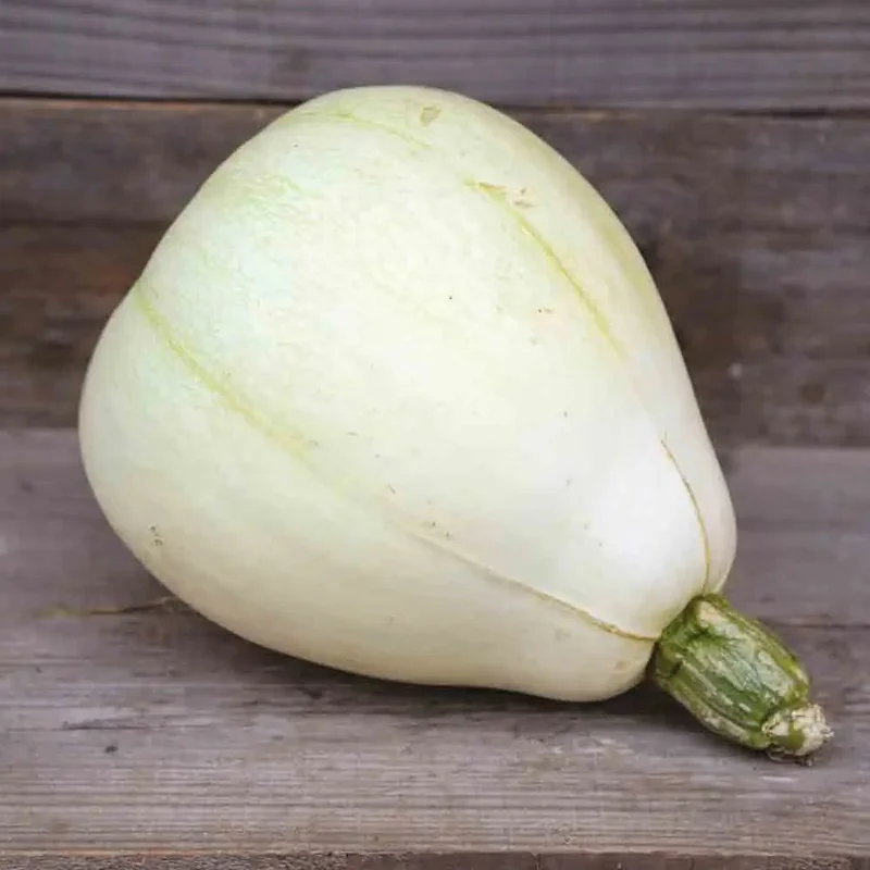 Courge Tennessee Sweet Potato