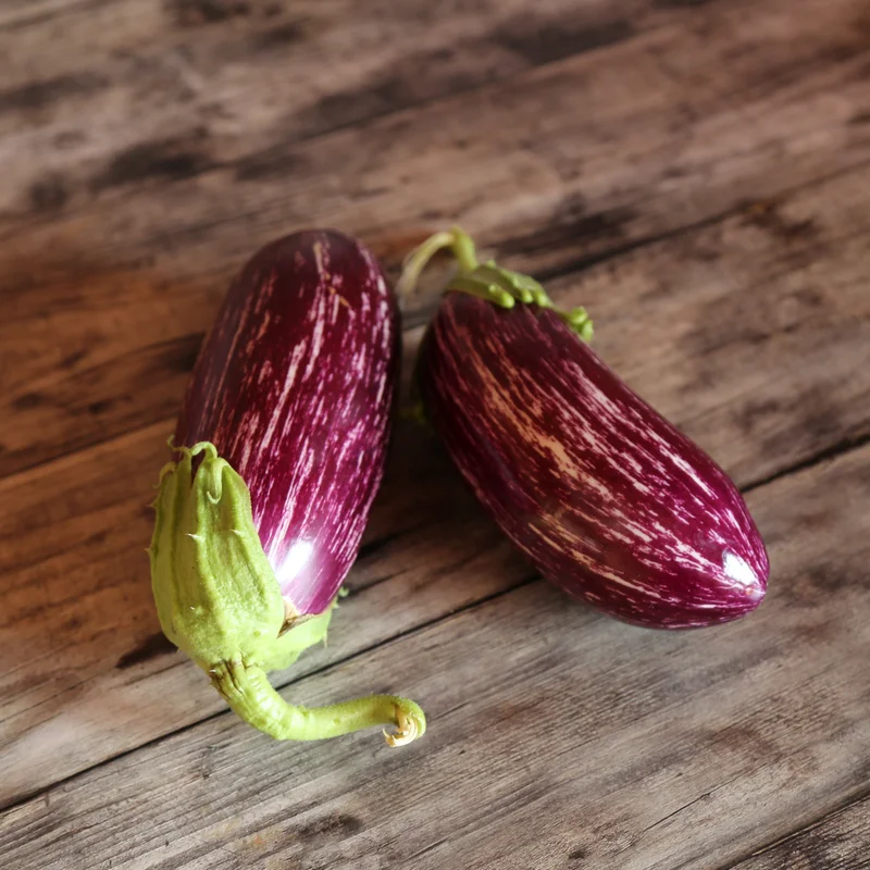 Augergine Listada De Gandia