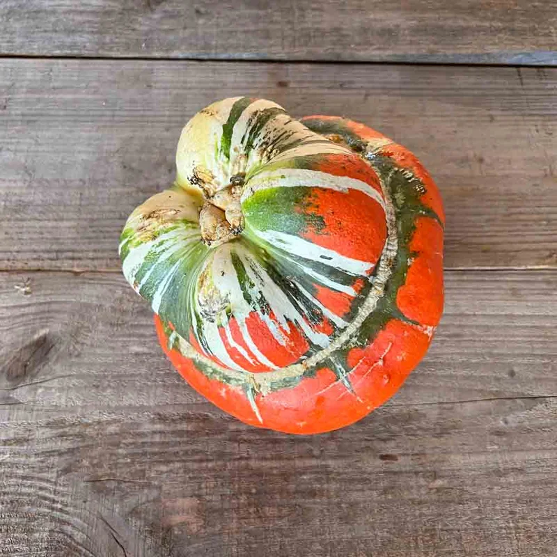 Potiron Giraumon Turban