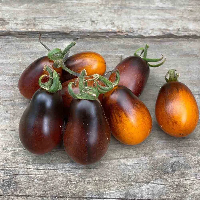 Tomate Indigo Pear Drops