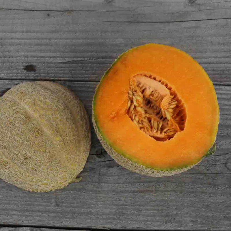 Melon Pride Of Wisconsin