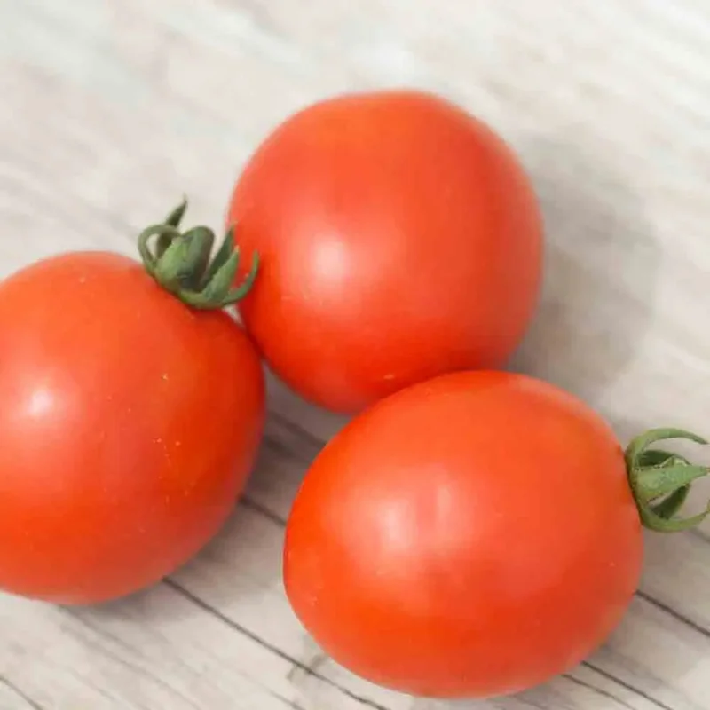 Tomate Siberian