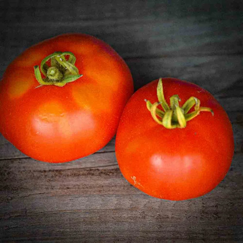 Tomate Marmande