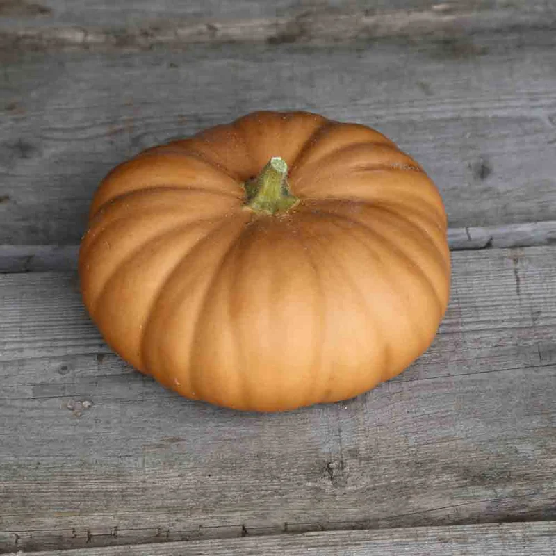 Courge Musquee Tancheese