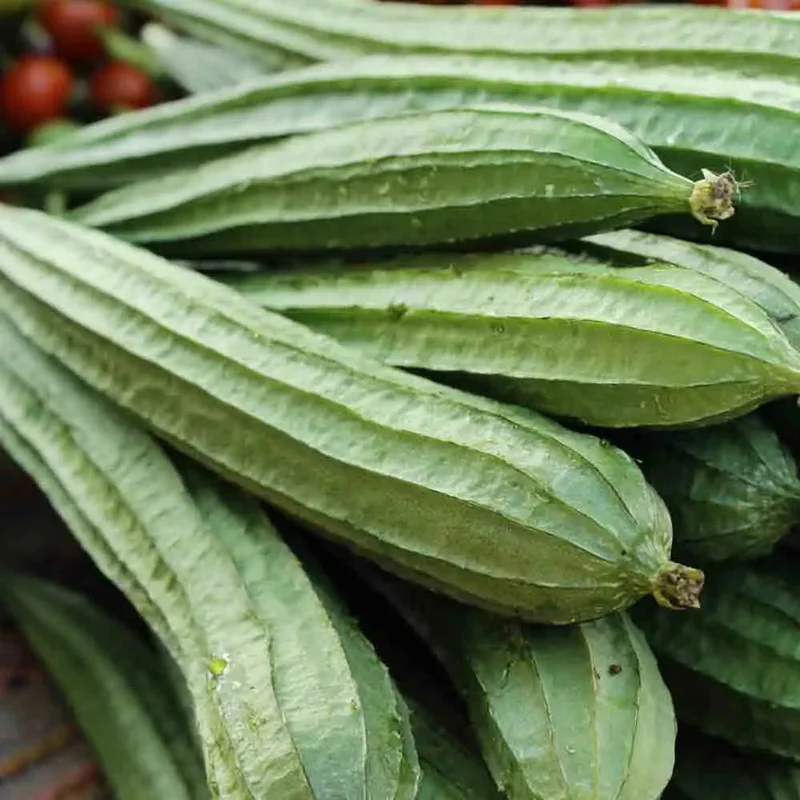 Courge Luffa Comestible Huadiansigua